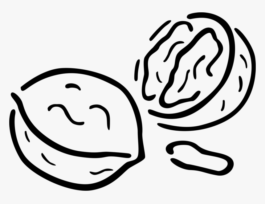 Transparent Walnut Clipart - Walnut Clipart Black And White, HD Png Download