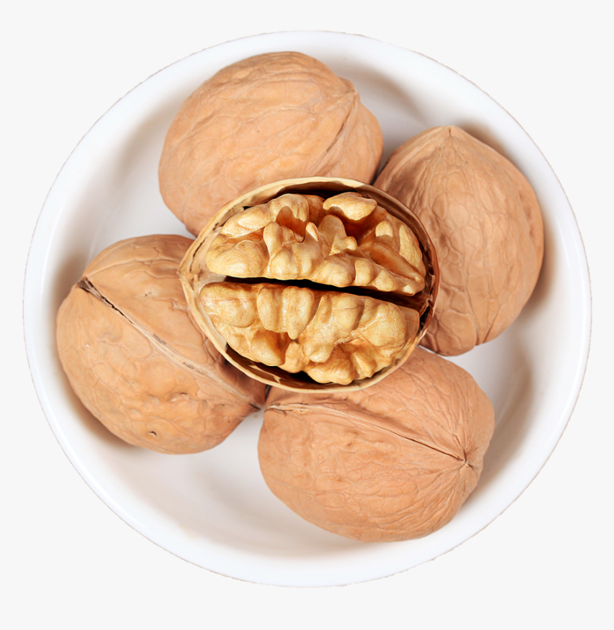 High Quality Nutritious 100% Natural Walnut - Walnut, HD Png Download