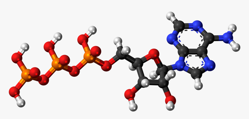 Type Full, Balls And Columns, 3d - Adenosine Triphosphate 3d Model, HD Png Download