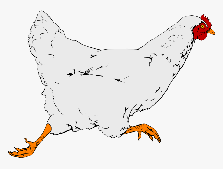 Rooster, HD Png Download