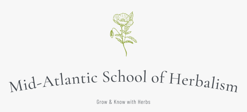 Flower, HD Png Download