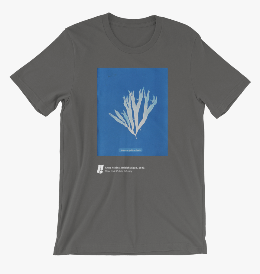 Anna Atkins 1 Mockup Front Wrinkled Asphalt - Tres Butch T Shirt Uk, HD Png Download