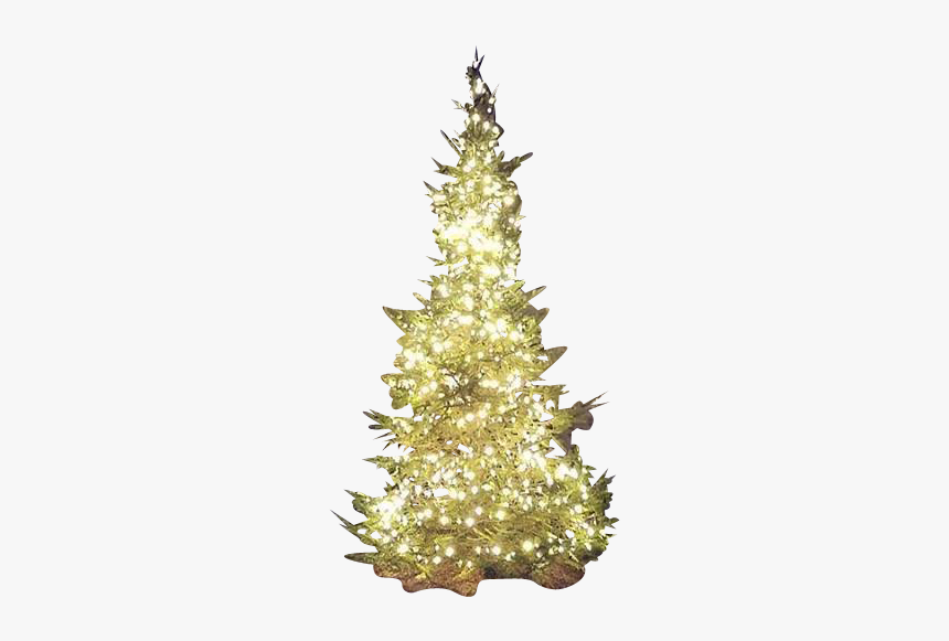 Christmas Ornament, HD Png Download