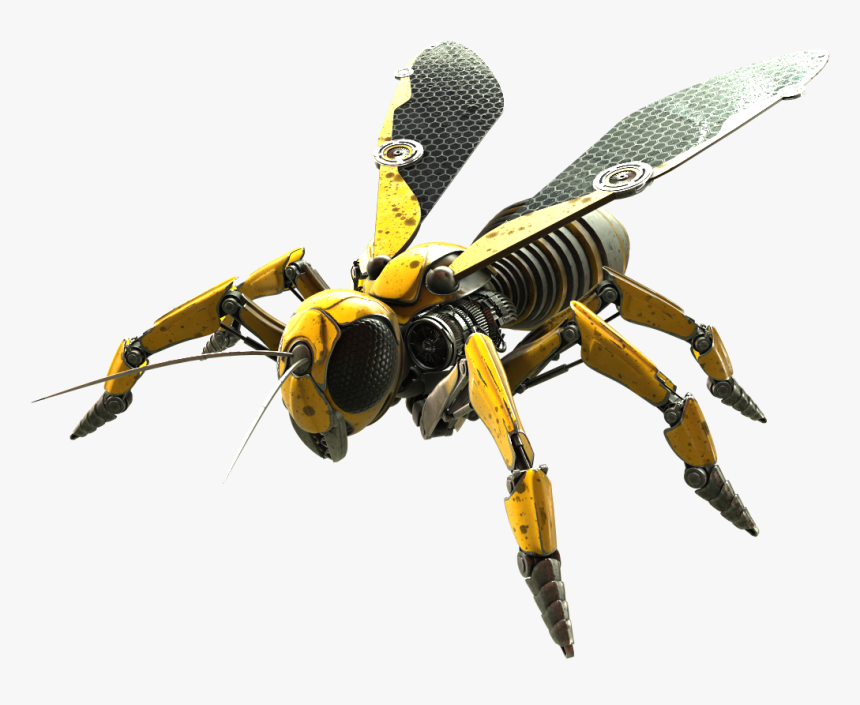 Wasp Png Photo - Wasp .png, Transparent Png