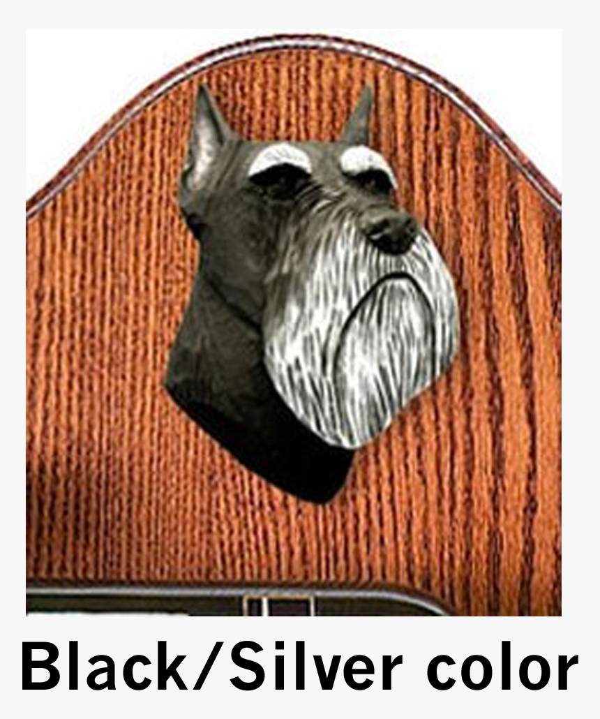 Schnauzer Miniature Dog Black And Silver Color Head - Cesky Terrier, HD Png Download