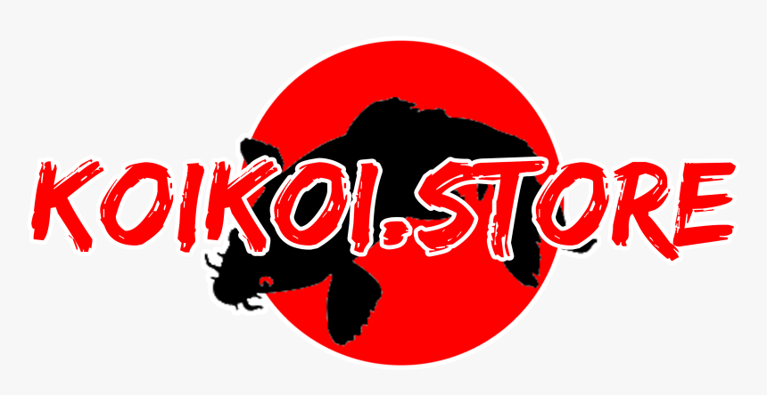 Koikoi Store Koikoi Store - Ayo Sekolah, HD Png Download