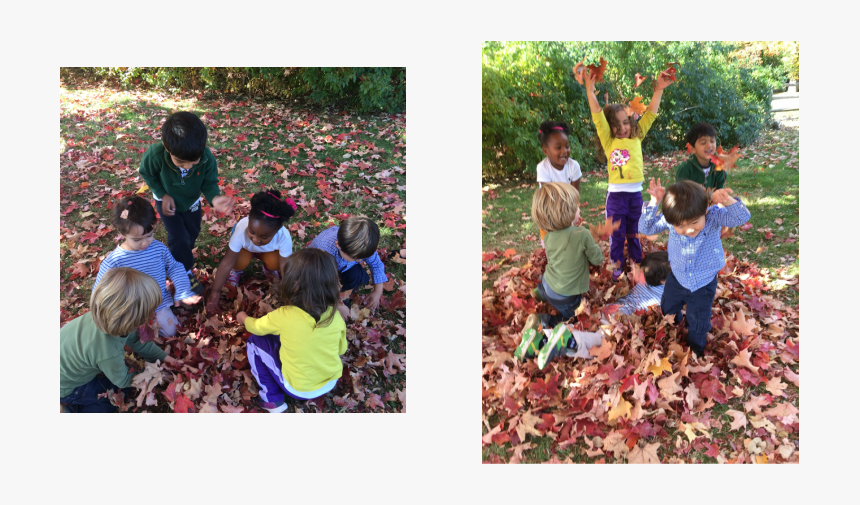 Picture - Child, HD Png Download