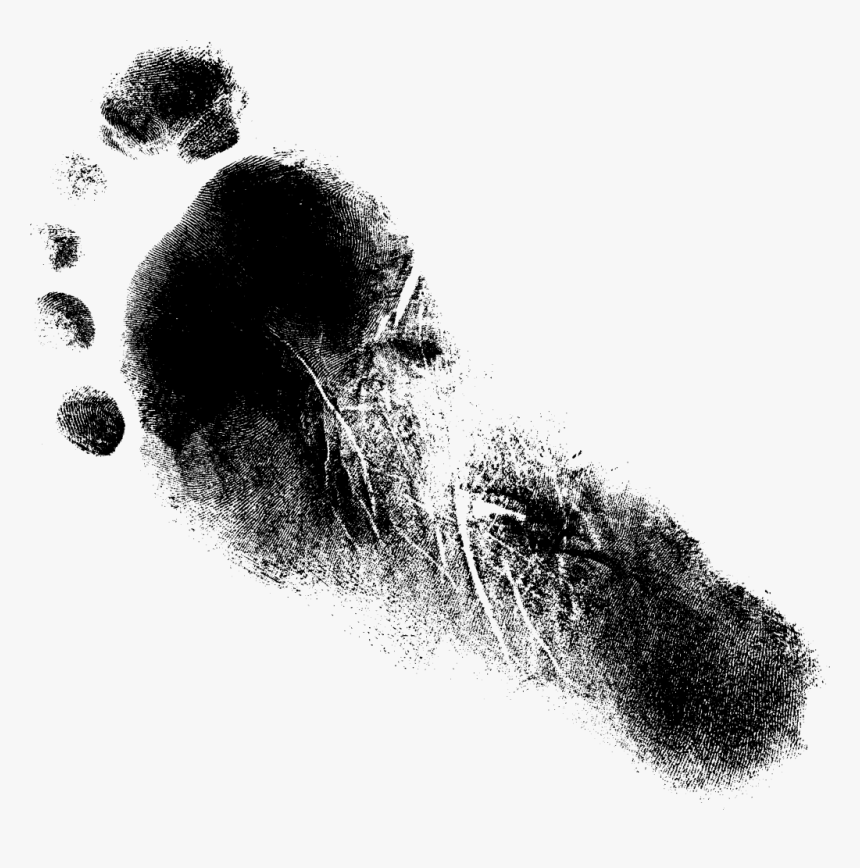 Foot Sketch Png, Transparent Png