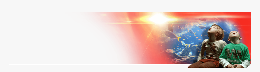 Bryn Jones Associates Ltd - Sunlight, HD Png Download