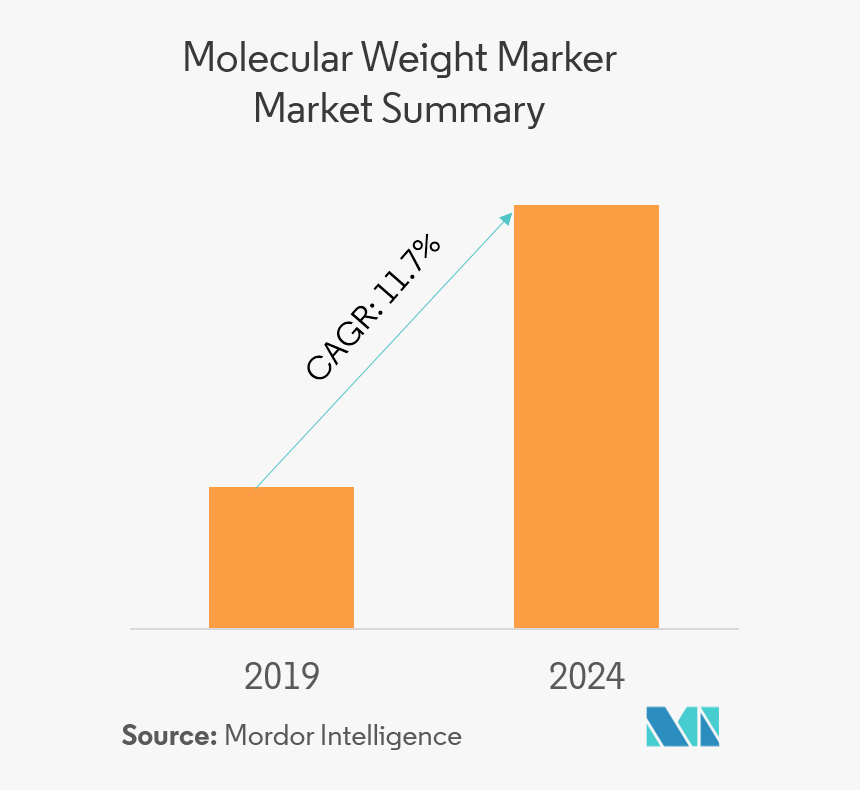 Vietnam Retail Market 2018, HD Png Download