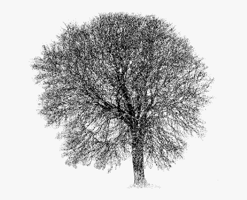 Graph Database Free, HD Png Download