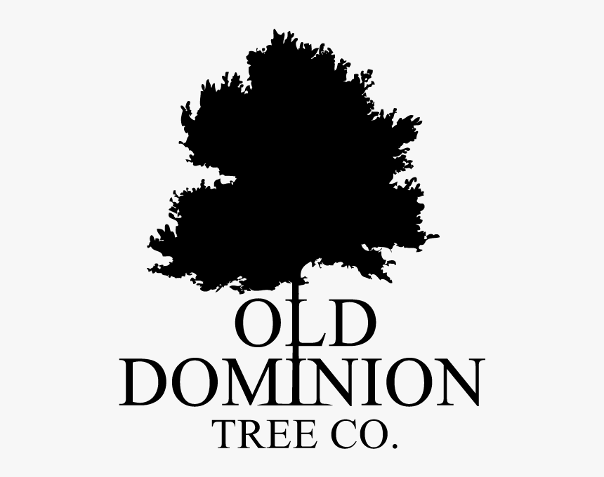 Tree Service Richmond Logo - Espresso, HD Png Download