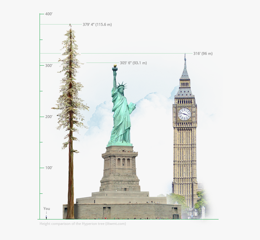 Statue Of Liberty, HD Png Download