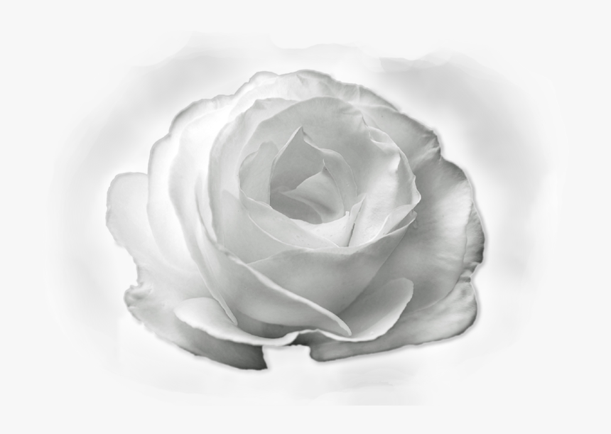 Monochrome, HD Png Download