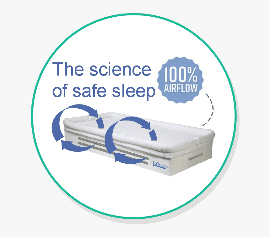 Baby's Breath Png, Transparent Png