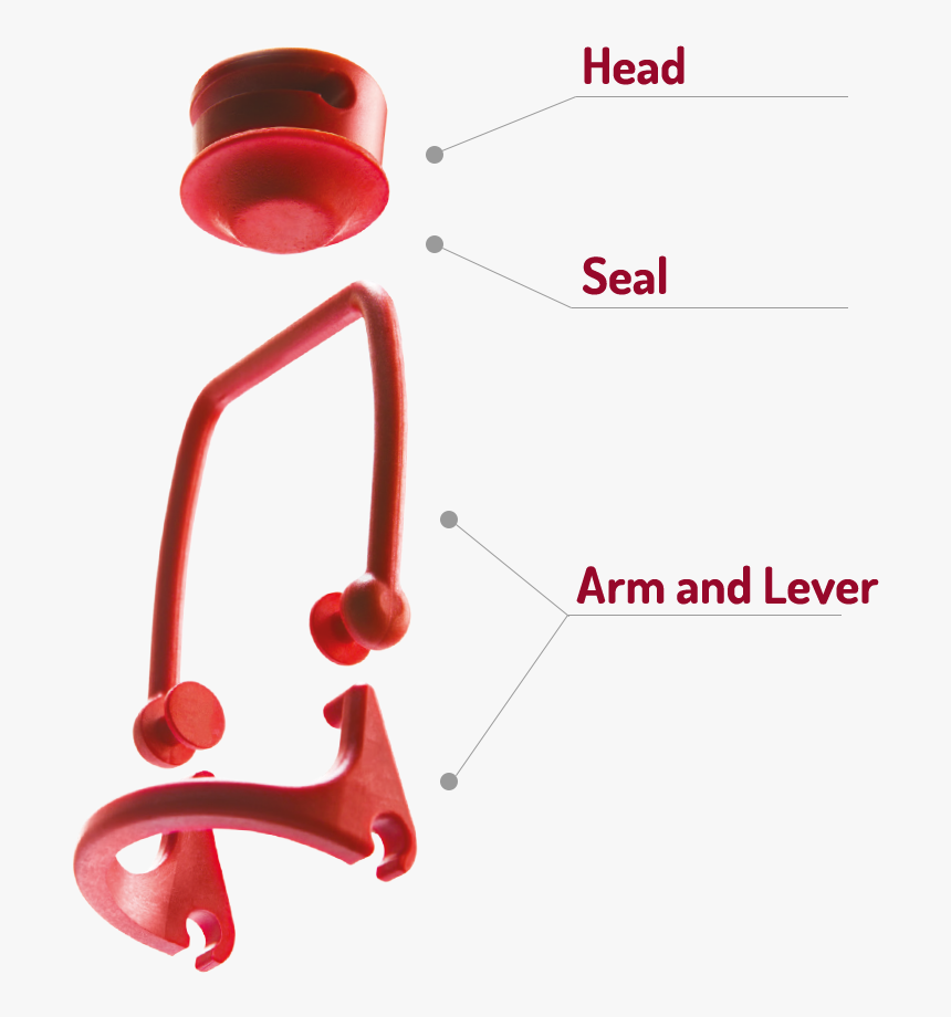 Clip Art, HD Png Download