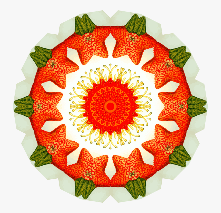 Sunflower, HD Png Download