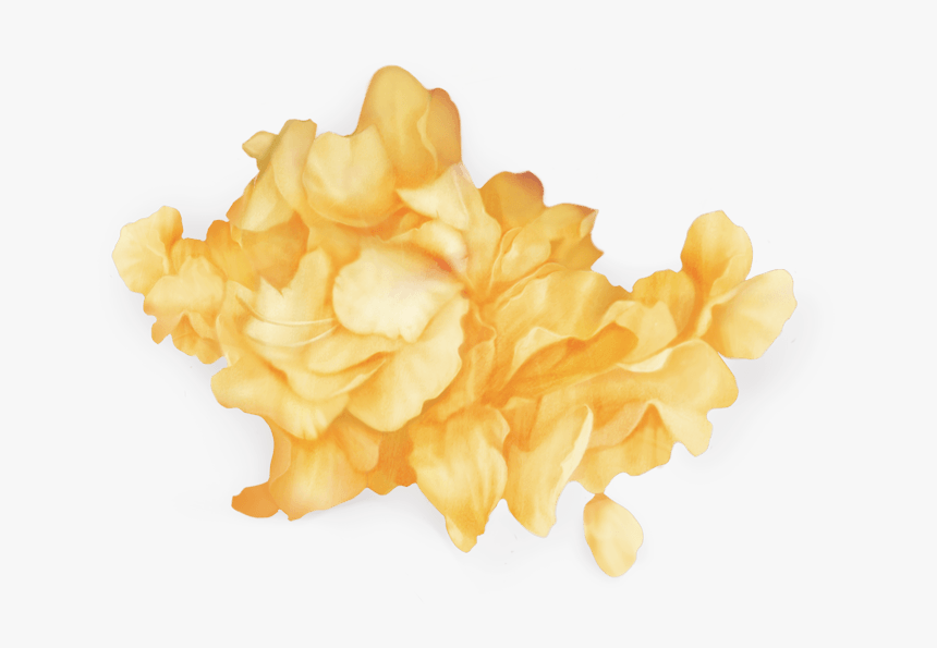 Flowers, Png, And Yellow Image - Wild Troye Sivan Png, Transparent Png