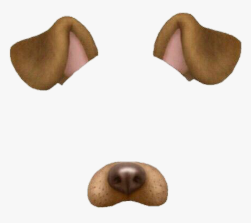 Overlay, Snapchat, And Dog Image - Snapchat Dog Filter Png, Transparent Png