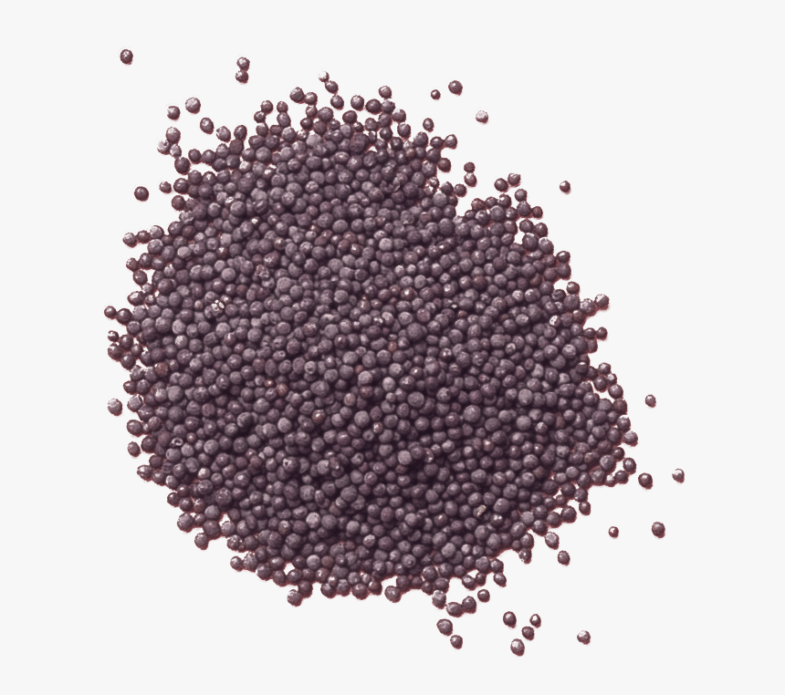 Frijoles Negros, HD Png Download