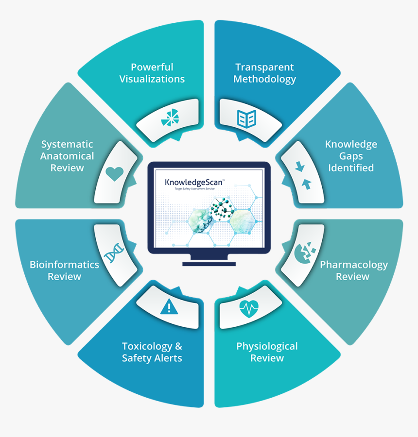 Basketball Ball Png Vector , Png Download - Gallery Icon Android Png, Transparent Png