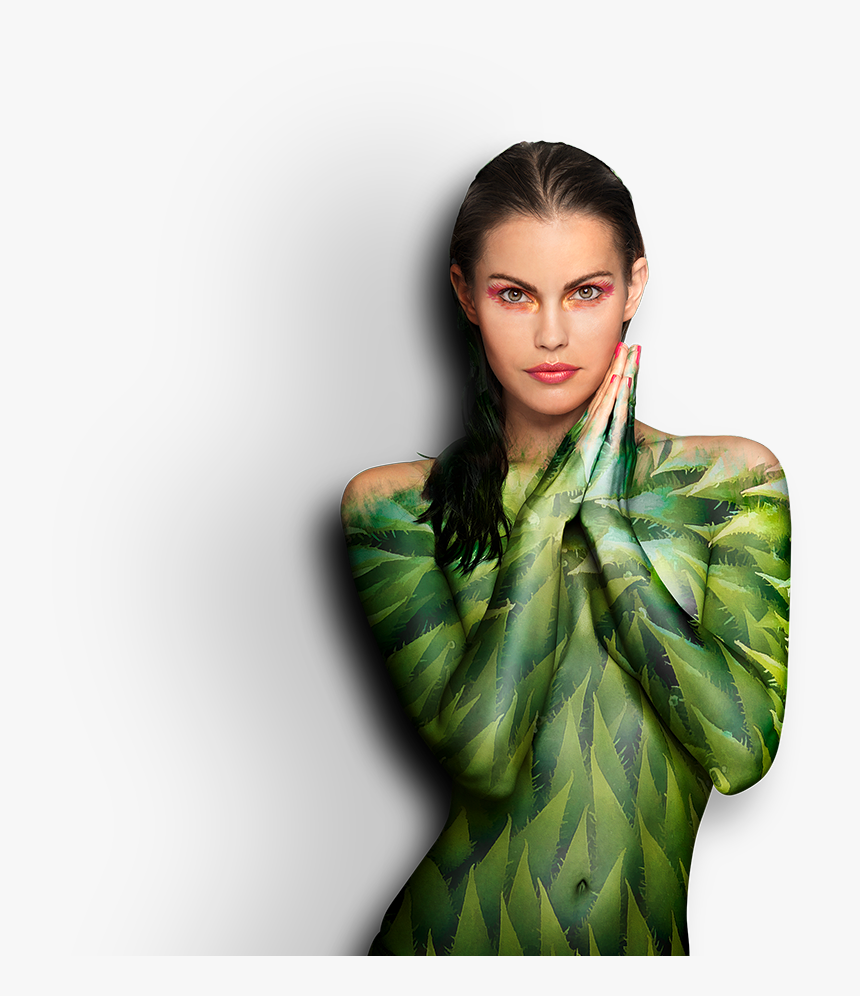 Photo Shoot, HD Png Download