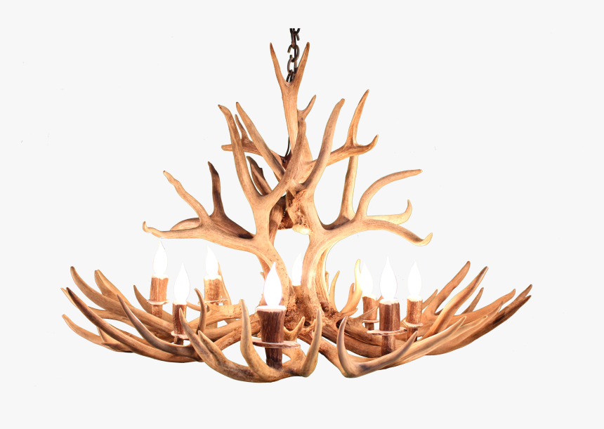 Deer Antlers Png , Png Download - Real Antler Lights Uk, Transparent Png