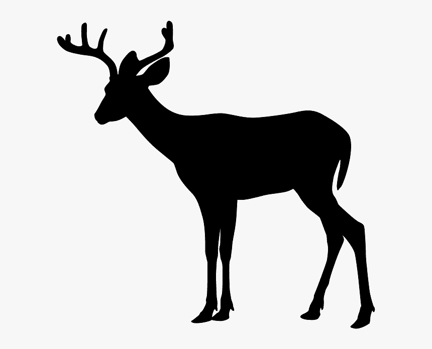 Deer Clip Art Black And White Hd Png Download Transparent Png Image Pngitem