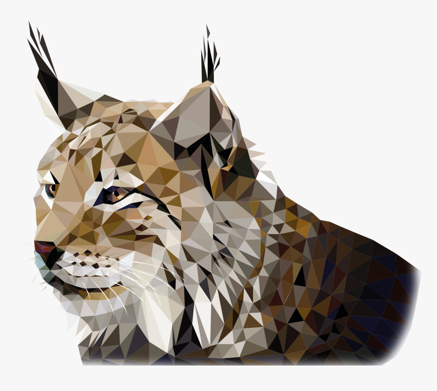 Tiger, HD Png Download