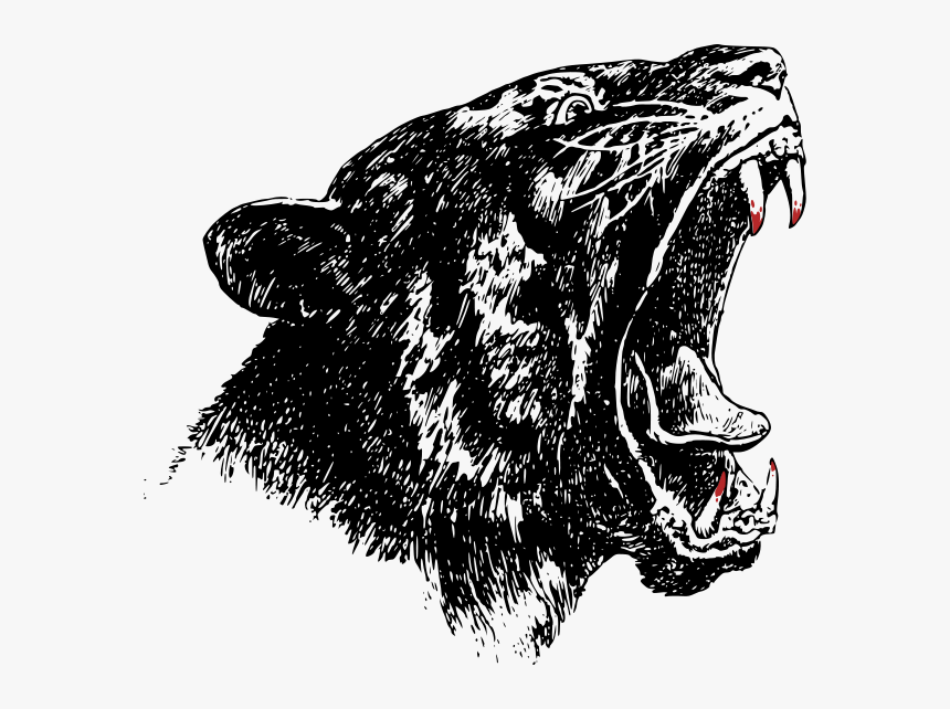 Blood Png Clip Arts - Nv Roar, Transparent Png