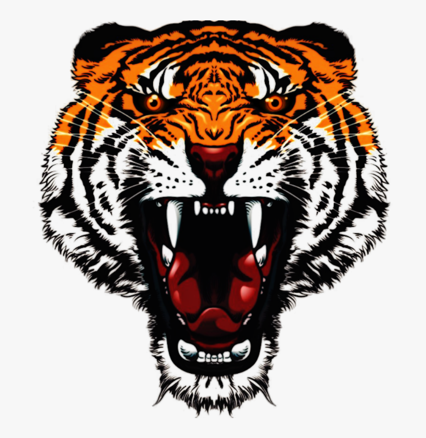 Tiger Face Png Hd, Transparent Png
