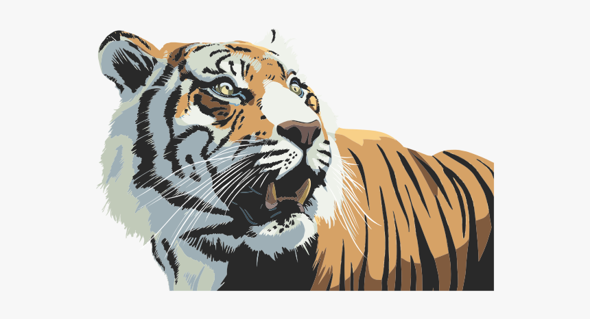 Tiger Head Illustration - Tiger, HD Png Download