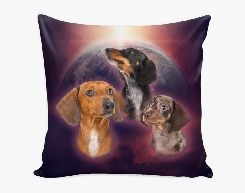 South Africa Roots American Tree, HD Png Download