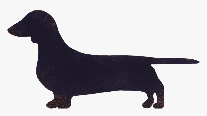 Miniature Dachshund Flat Coated Retriever Dog Breed Transparent