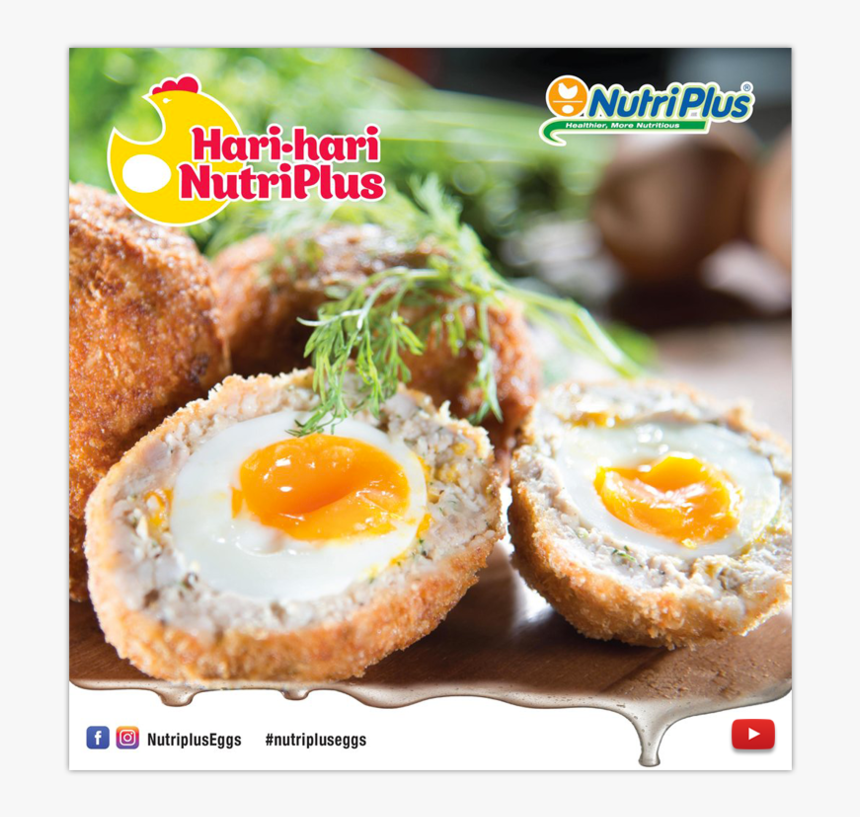 Fried Egg Png, Transparent Png