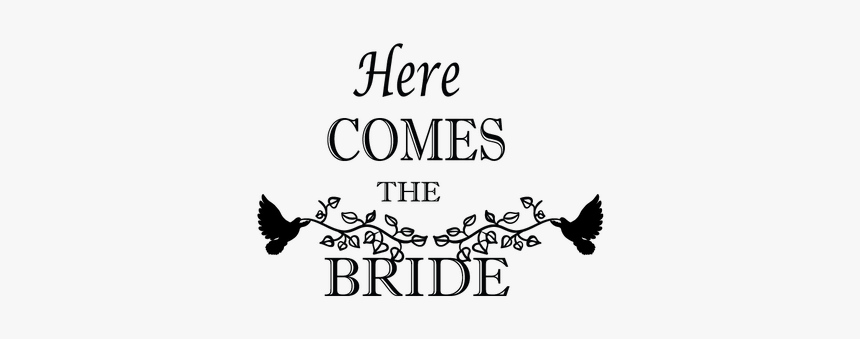 Pmi Colleges, HD Png Download