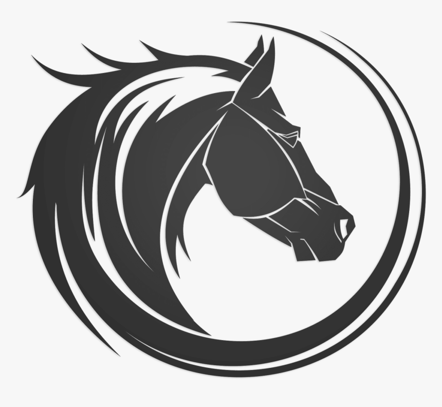 Wild Coast Horse Riding, HD Png Download