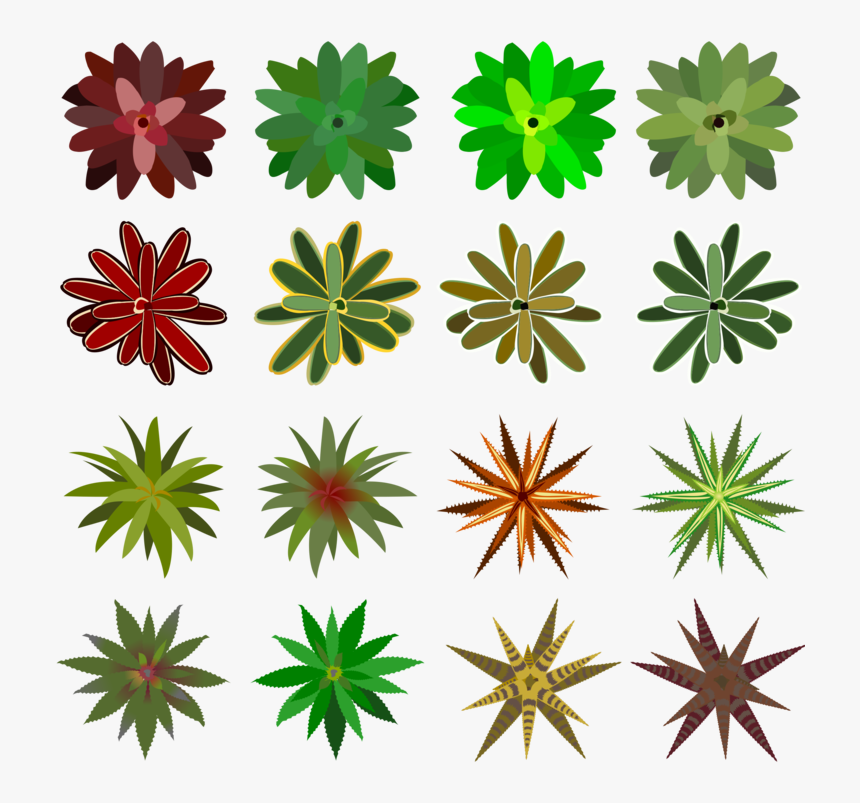 Petal,plant,flower - Plants From Top View Draw Png, Transparent Png