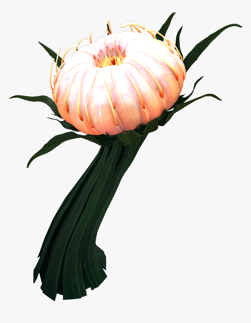 Subnautica Below Zero - Deep Lily Pads Subnautica, HD Png Download