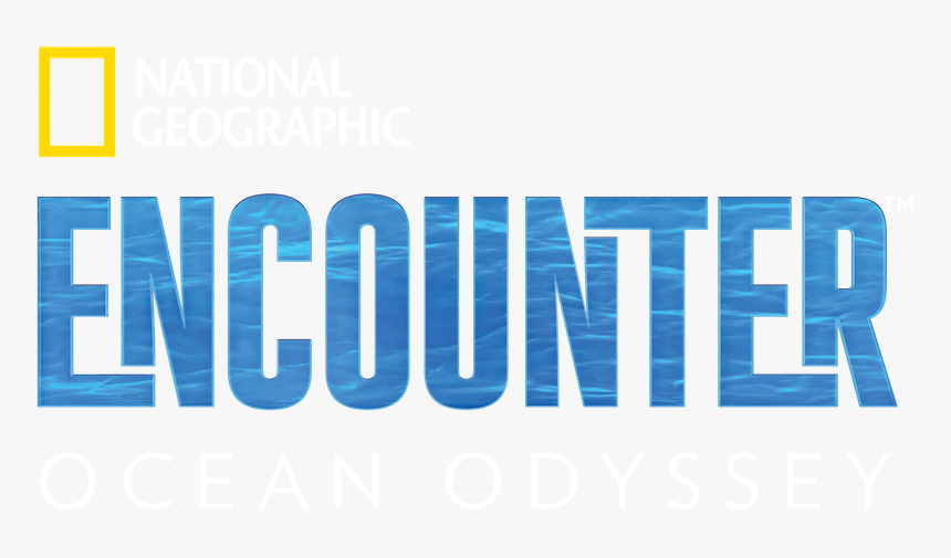 Parallel, HD Png Download