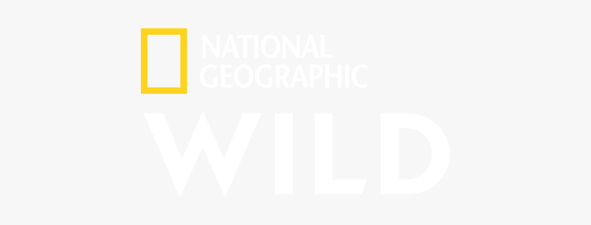 Parallel, HD Png Download