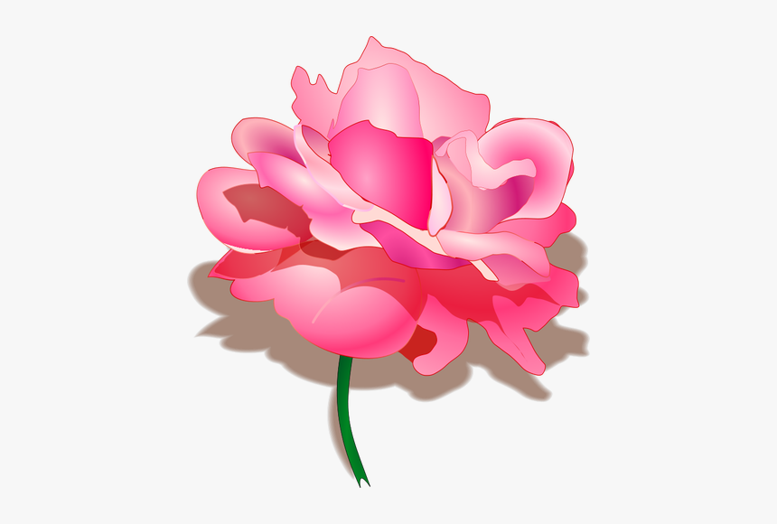 Vector Drawing Of Rose - Rakhi Special Image In Hindi, HD Png Download
