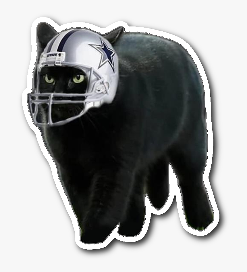 Dallas Cowboys Black Cat, HD Png Download