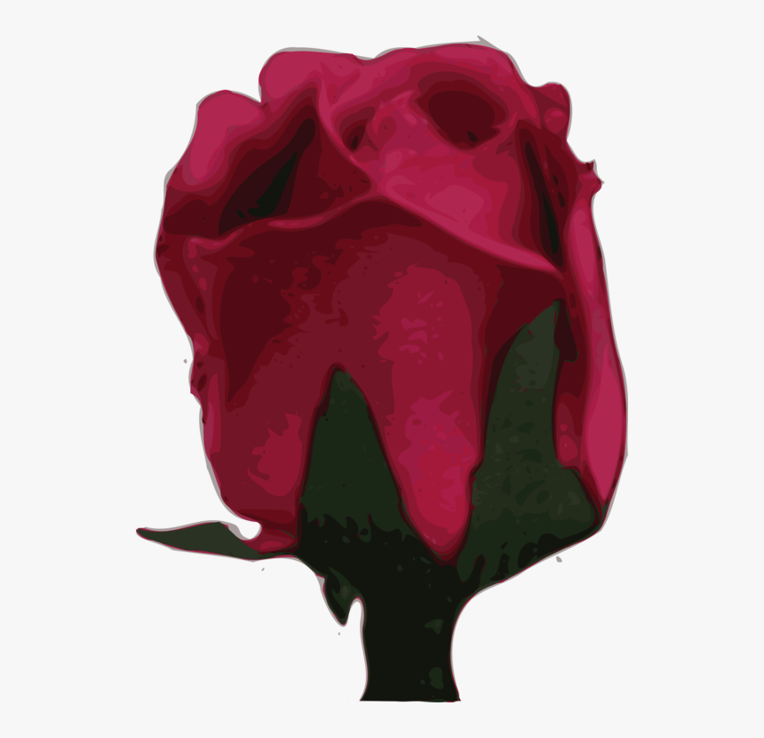 Plant,flower,garden Roses - Rose, HD Png Download