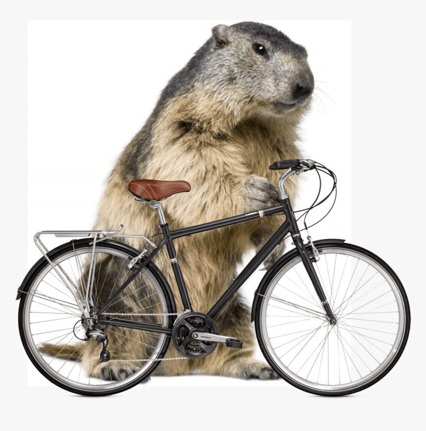 Bicycle Cut Out Png, Transparent Png