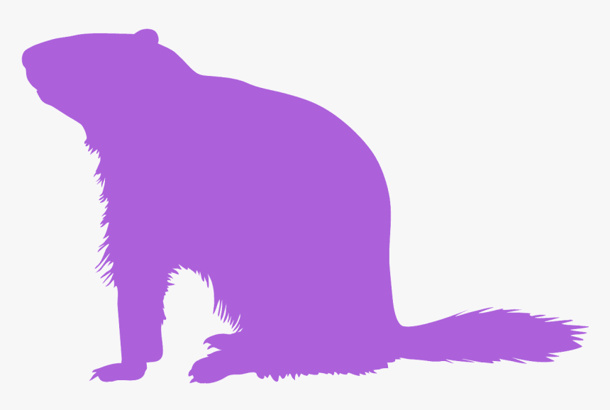 Groundhog Silhouette, HD Png Download