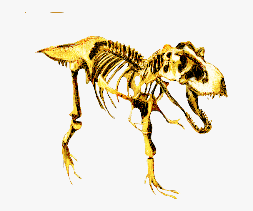Tyrannosaurus, HD Png Download