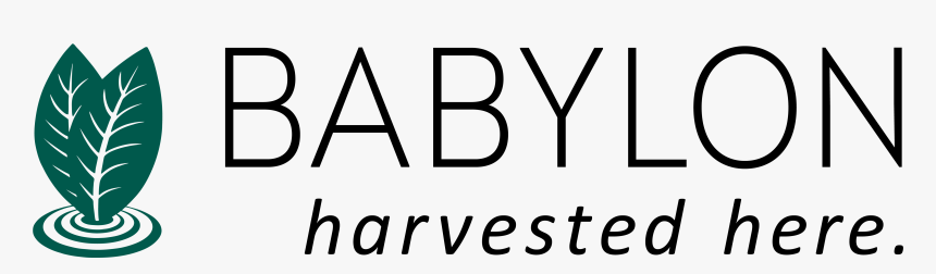 Line Art, HD Png Download