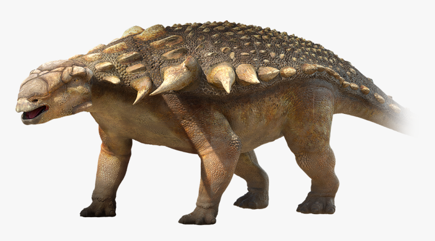 Ankylosaurus Dinosaurs , Png Download - Walking With Dinosaurs Edmontonia, Transparent Png