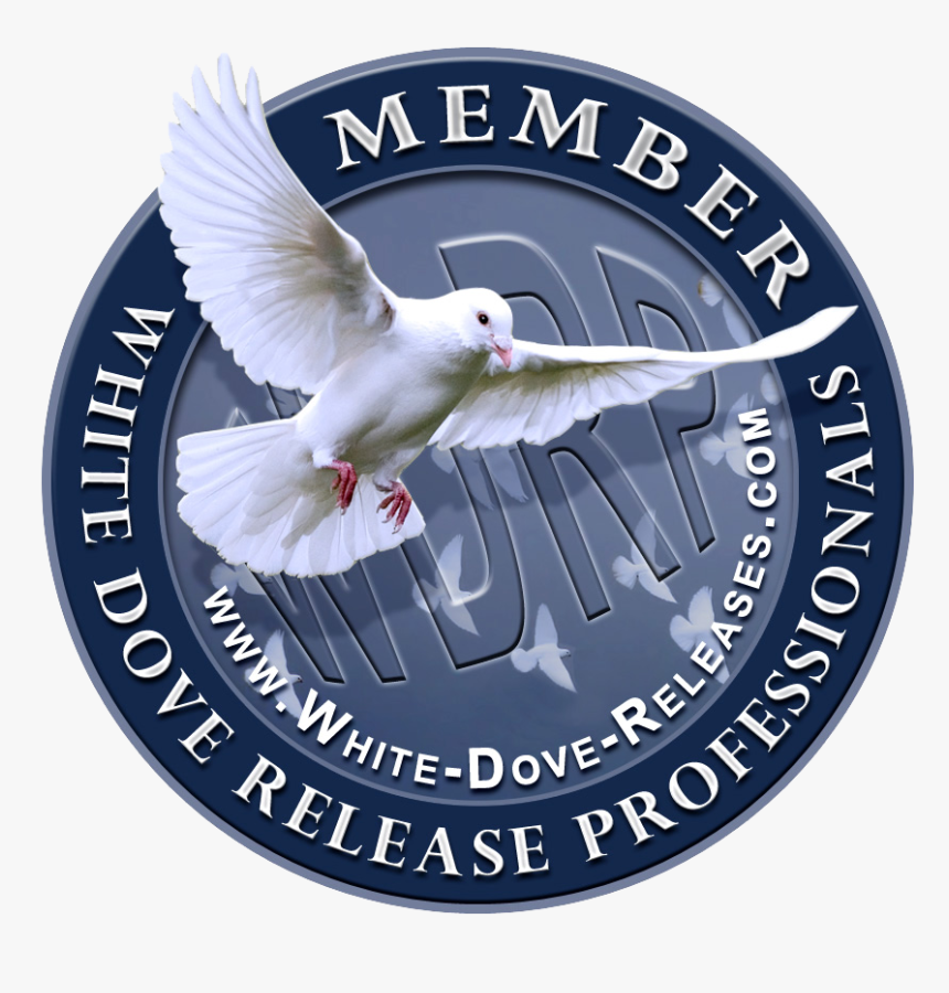 Wdrp3 Png - Confirmation, Transparent Png